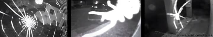 Spider webs on security cameras Spider webs on security cameras