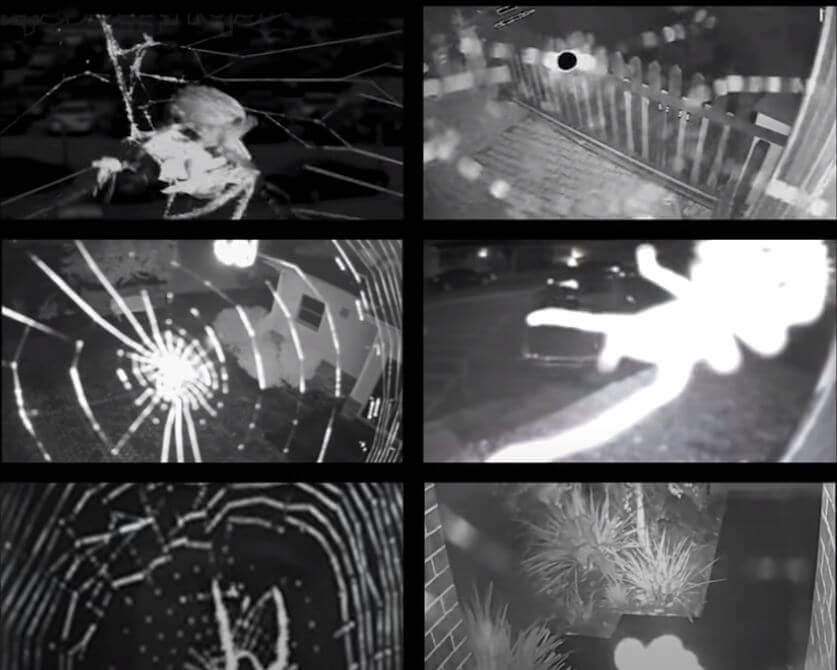 Spider on security cameras Spider on security cameras