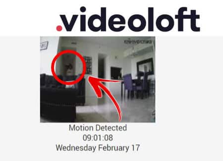 Videoloft Email Alert Videoloft Email Alert