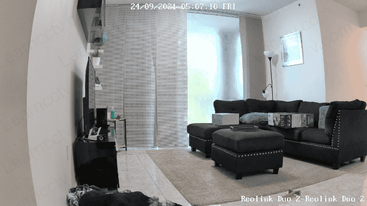 Reolink Duo Indoor Image Reolink Duo Indoor Image