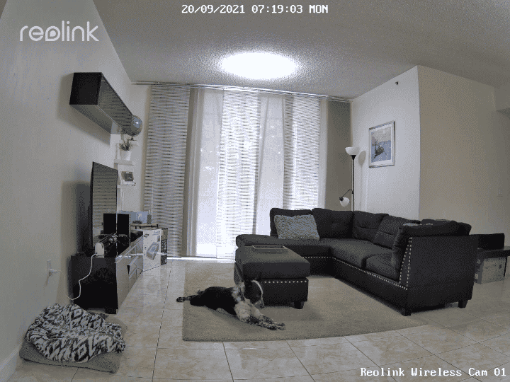 Reolink Wireless Camera Indoor Reolink Wireless Camera Indoor